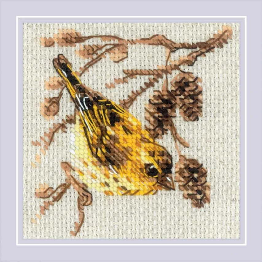 Riolis Siuvinėjimo rinkinys "Čiurkšlys" 10x10 cm SR2329