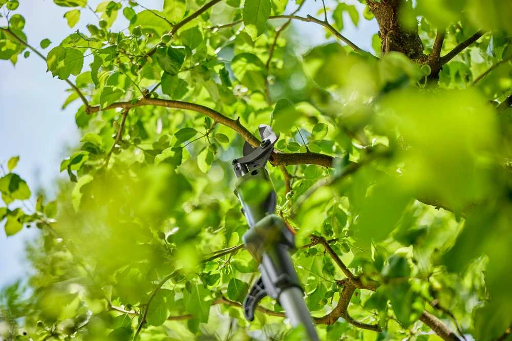 Gardena Akumuliatorinės teleskopinės genėjimo žirklės HighCut 250/18V P4A paruoštas naudojimui rinkinys (14774-20)