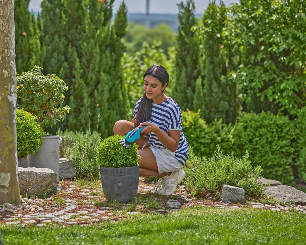 Gardena akumuliatorinių žolės žirklių rinkinys ClassicCut Li ( 9886-20) aprašymas - Prekės nuotrauka