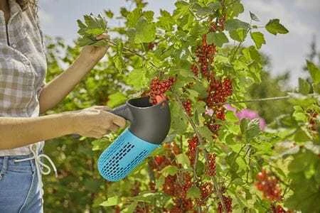 Gardena Combisytem Uogų rinktuvas
