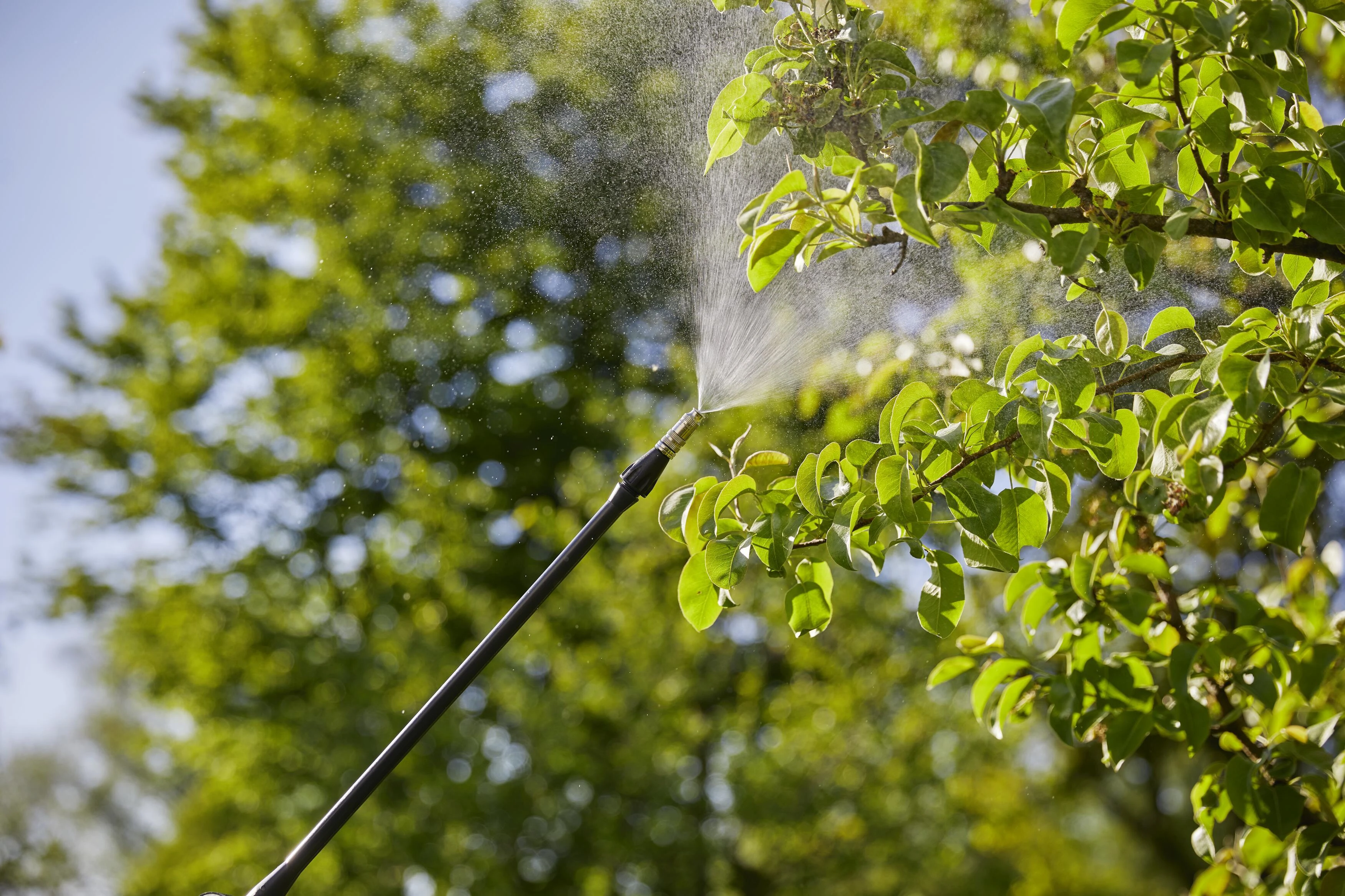 Gardena Ant nugaros nešiojamas purkštuvas 12 l