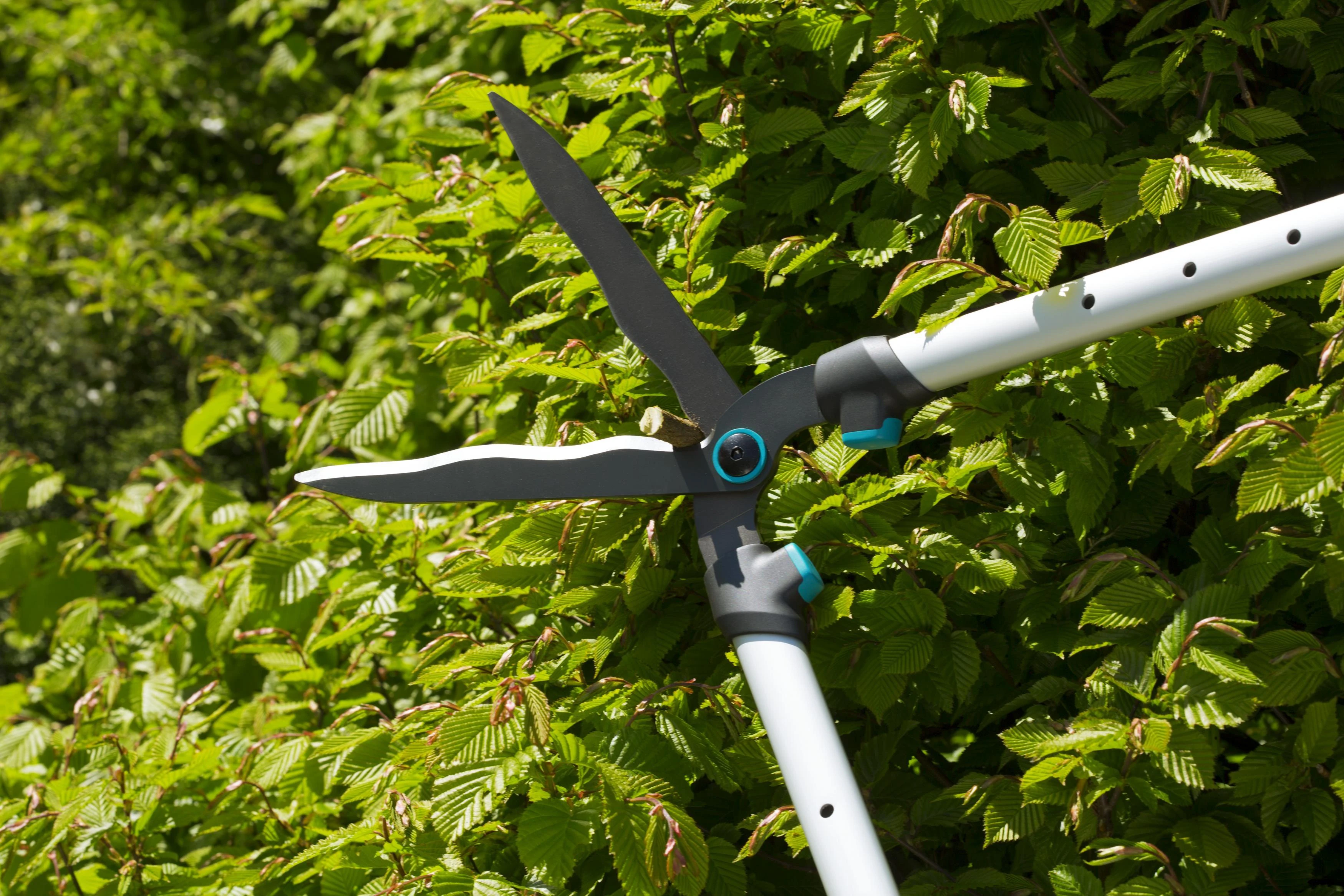 Gardena Gyvatvorių žirklės "TeleCut"