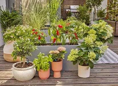 Gardena Mikrolašelinio drėkinimo terasos rinkinys (30 augalų)