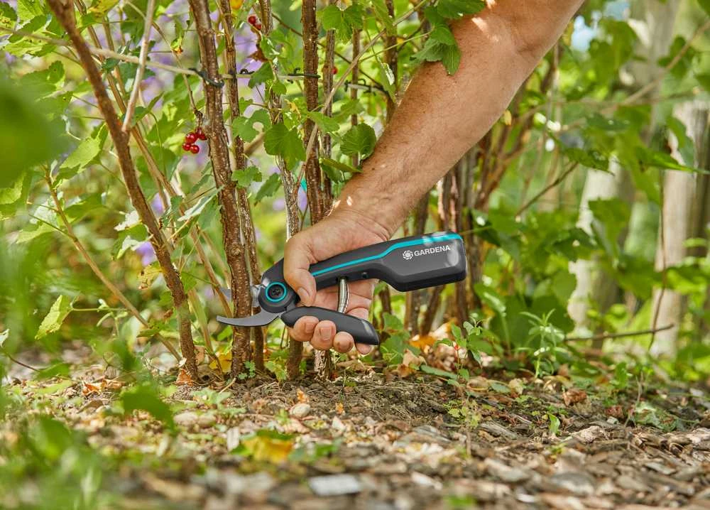 Gardena akumuliatorinis sekatorius AssistCut