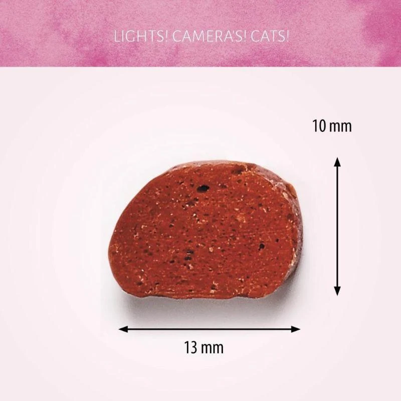 ANTOS Spiced Lamb skanėstai katėms su ėriena 50g