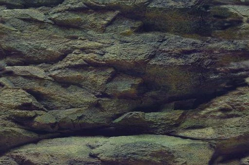 AQUA NOVA fonas akmenys/augalai 100x50cm