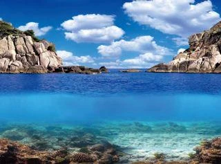 AQUA NOVA fonas augalai/vandenynas 150x60cm