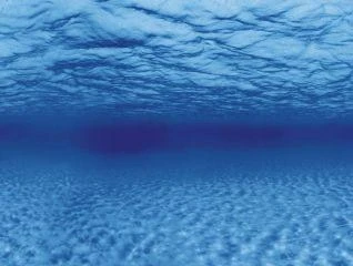 AQUA NOVA fonas šaknys/vanduo 60x30cm
