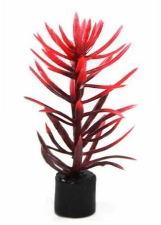 AQUA NOVA plastikinis augalas 8cm 5vnt