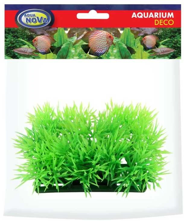 AQUA NOVA plastikinis augalas žolytė 4cm