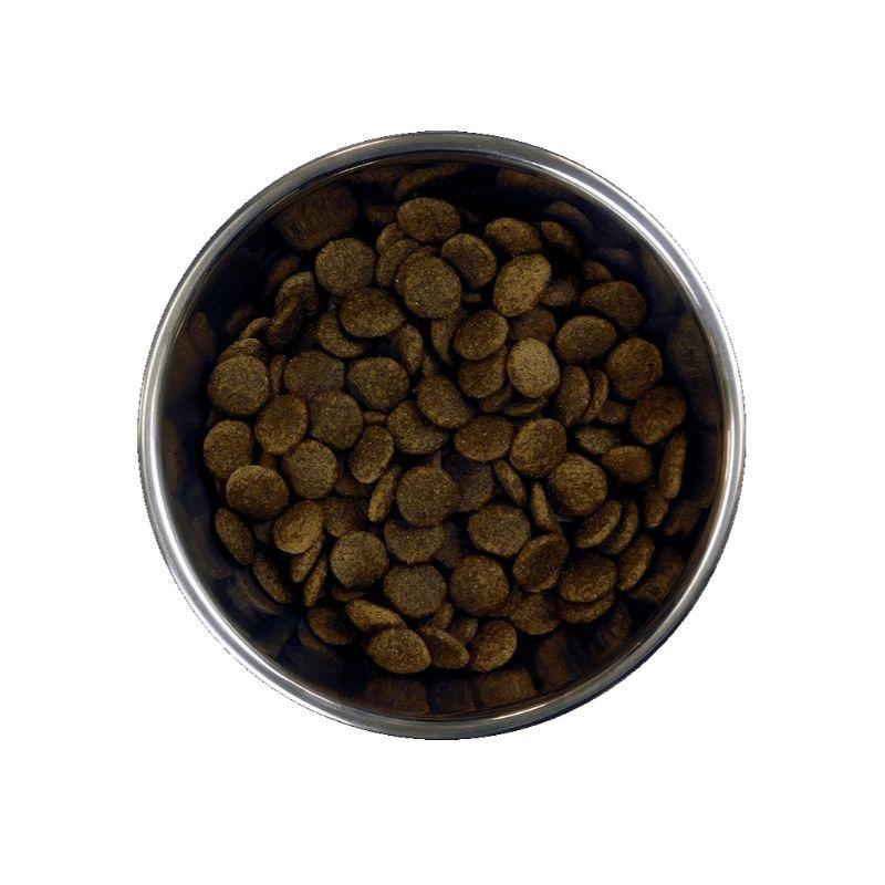 Barking Heads Doggylicious begrūdis su antiena 12kg
