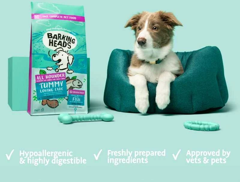 Barking Heads Tummy Lovin Care žuvis šunims su žuvimi 2kg