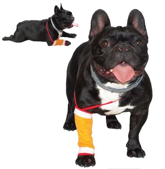 Grande Finale tvarstis šuns kojai su tvirtinimo dirželiais