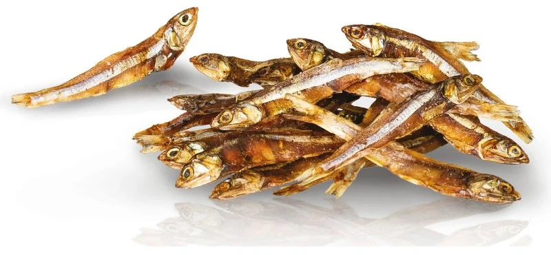 KIDCAT 100% liofilizuotos žuvytės 50g