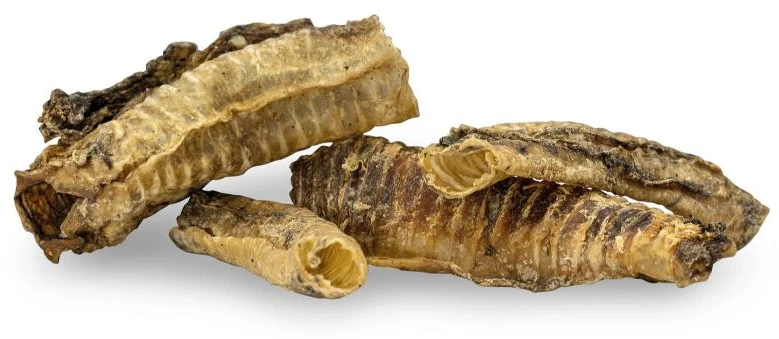KIDDOG 100% natūralios jautienos trachėjos 100g