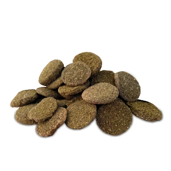 PRODAC ALGAE WAFERS augalinė plokštelė žuvims 15g