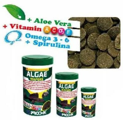 Prodac Algae Wafers augalinės tabletės dugninėms žuvims 250ml 125g