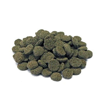 Prodac Algae Wafers Mini augalinės tabletės 7-8mm skersmens, dugninėms žuvims 100ml 50g