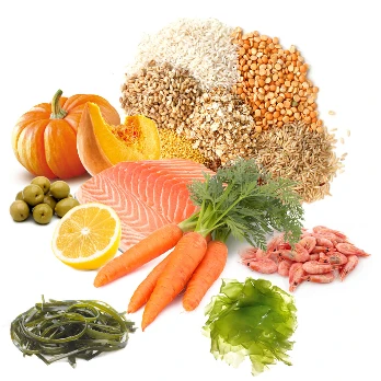 PRODAC BETTA FOOD granulės gaideliams 12g