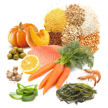 PRODAC VEGETABLE TABLET tabletės veg. dugninėms žuvims 12g