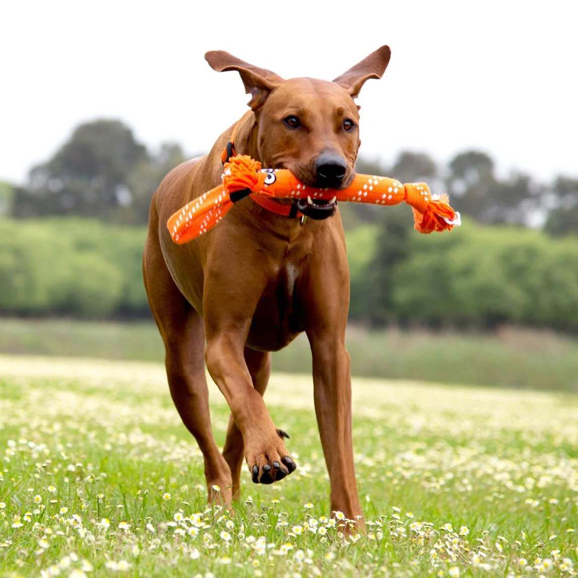 Rogz Scrubz žaislas šunims aktyviems žaidimams raudonas 54cm