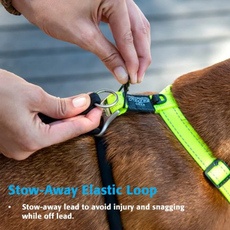 Rogz Stop Pull Harness raudonos petnešos 32-52cm
