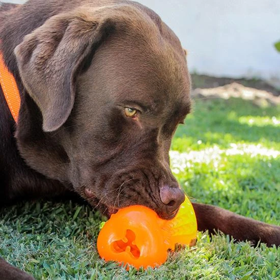 Rogz Yumz žaislas kaulas kramtymui oranžinis 8,8cm