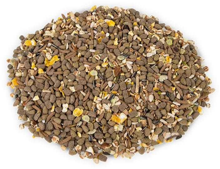 TERRA Rat pašaras žiurkėms 1.25kg