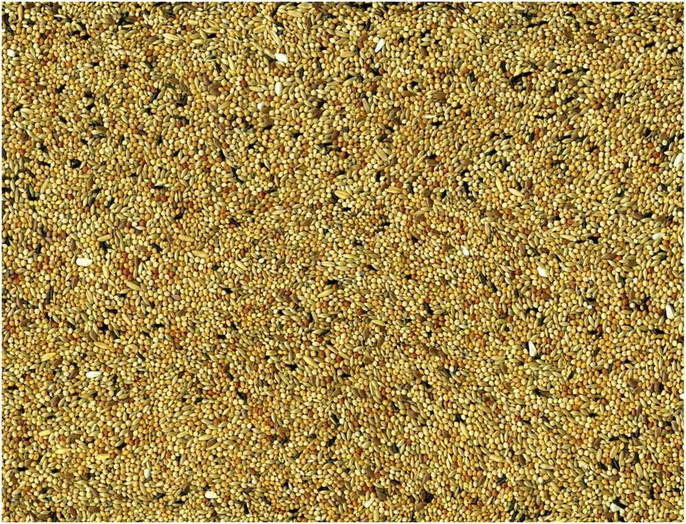 VADIGRAN ORIGINAL banguotoms papūgėlėms 20kg