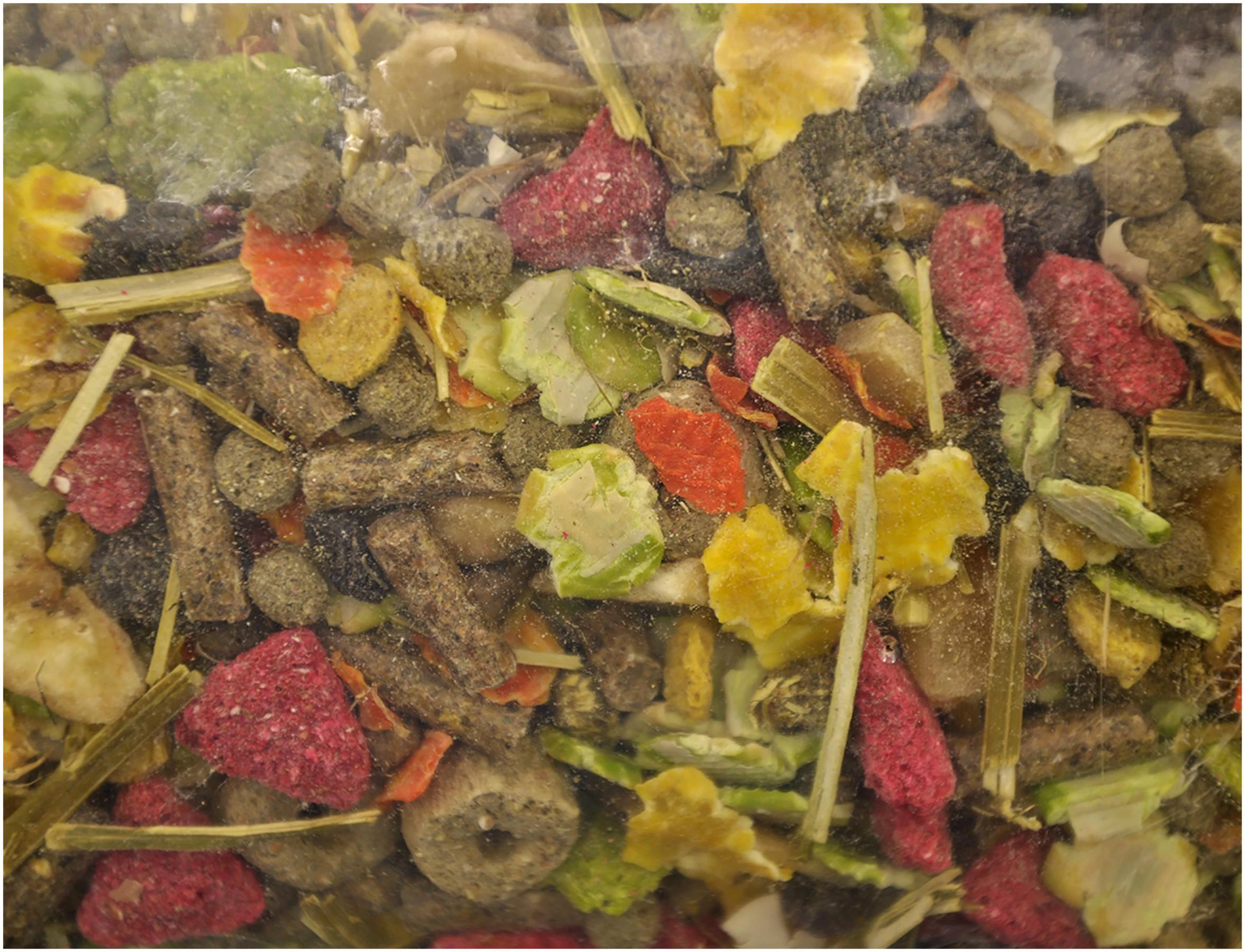 VADIGRAN PREMIUM pašaras ŠINŠILOMS 12,5kg