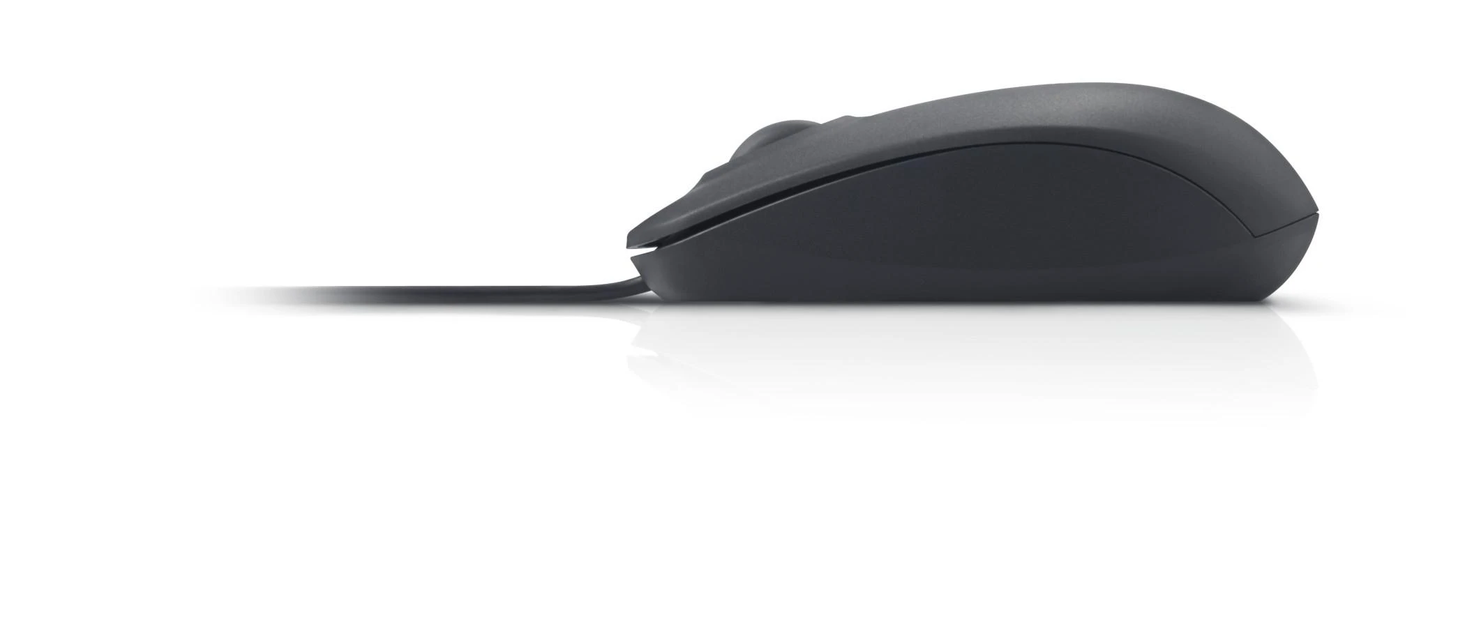 Dell optinė pelė su laidu MS116 (Juoda)