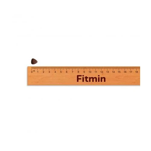 Fitmin Grynumas šuo GF suaugusiųjų mini jautiena 0,8kg