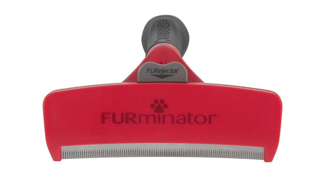 FURminatorius FURMINATOR, skirtas milžiniškiems trumpaplaukiams šunims