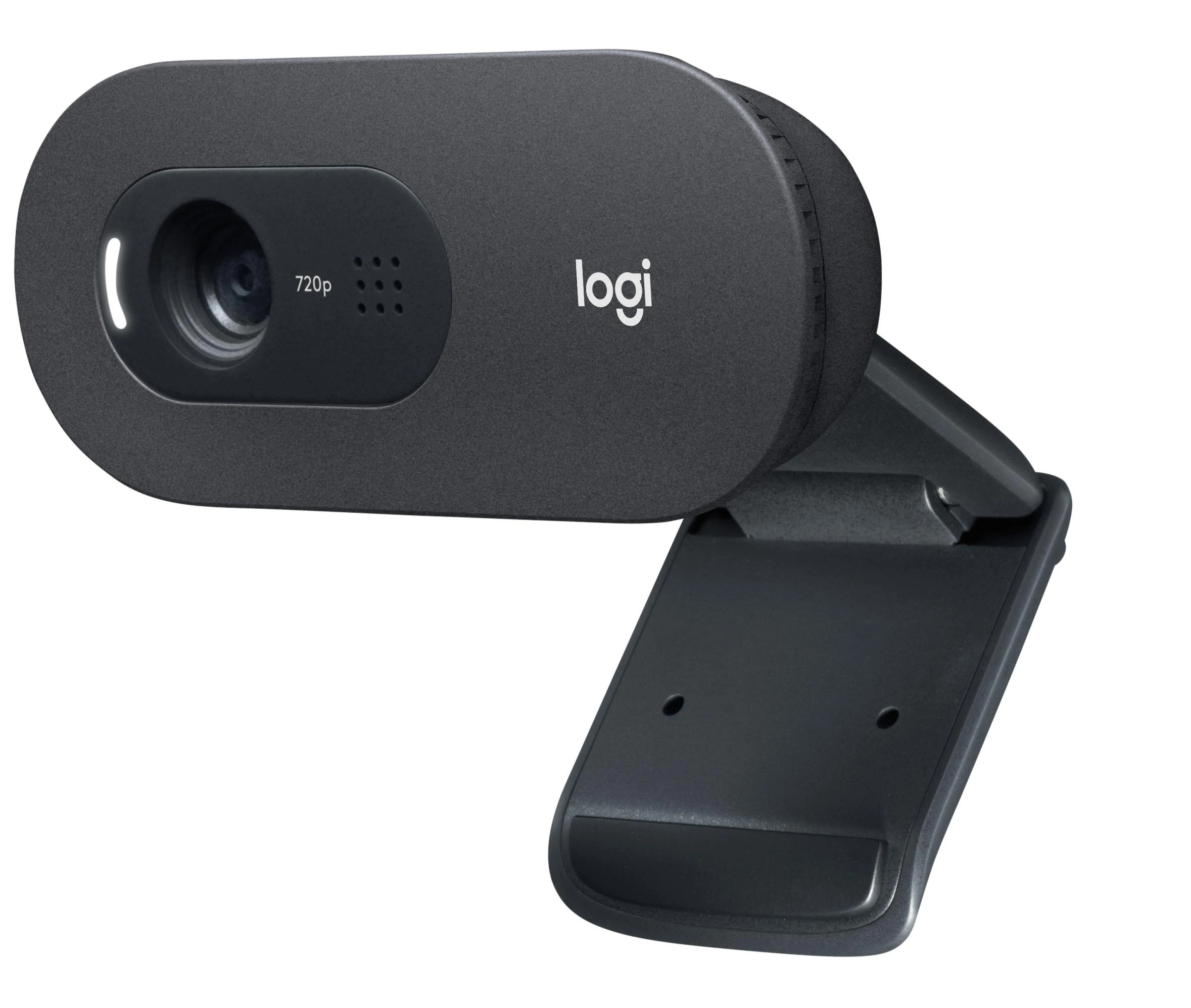 Internetinė kamera Logitech C505 HD webcam USB (960-001364)