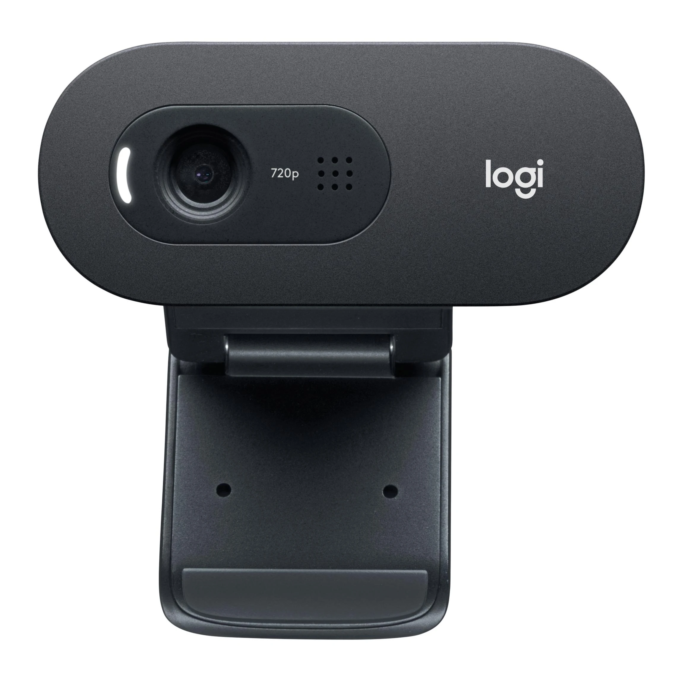 Internetinė kamera Logitech C505 HD webcam USB (960-001364)