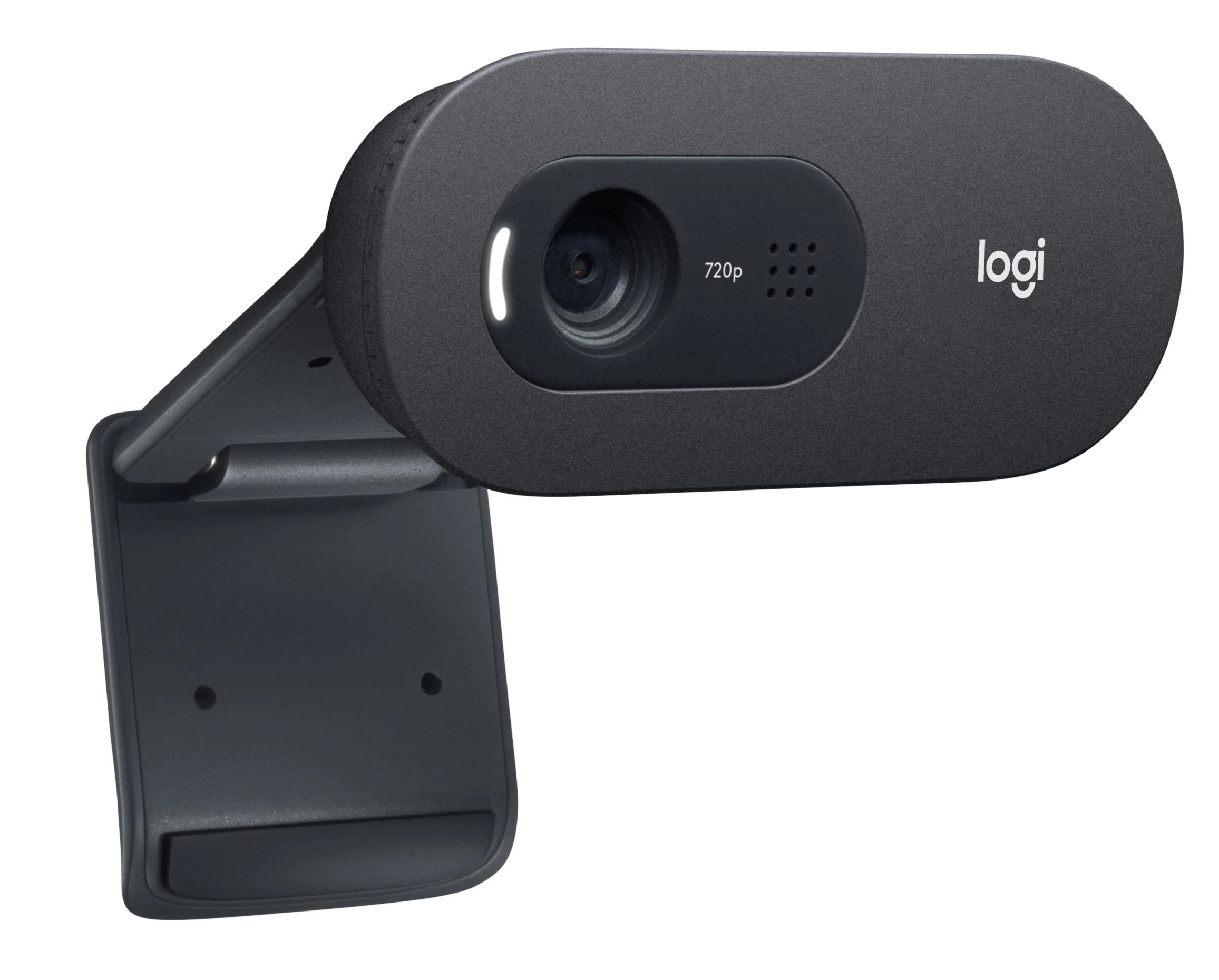 Internetinė kamera Logitech C505 HD webcam USB (960-001364)