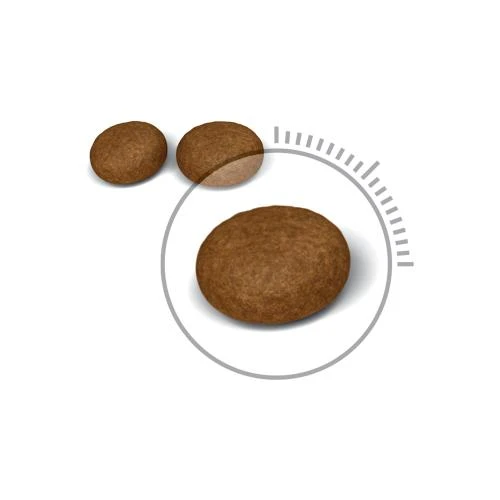 Royal Canin Hair & Skin Care 400g