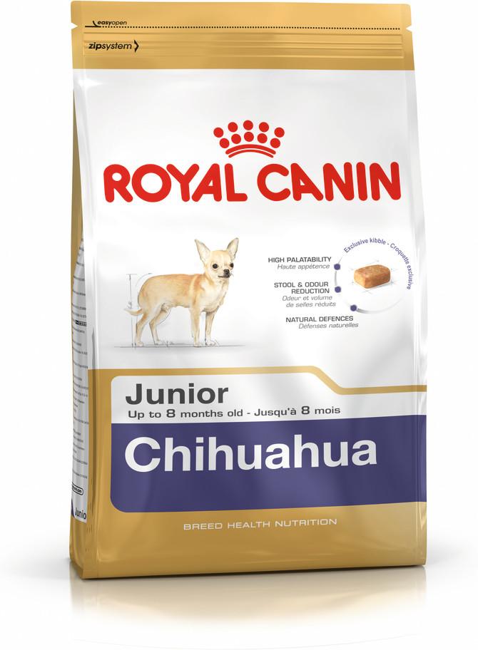ROYAL CANIN Chihuahua junior 500g, čihuahua veislės jaunų šunų sausas pašaras