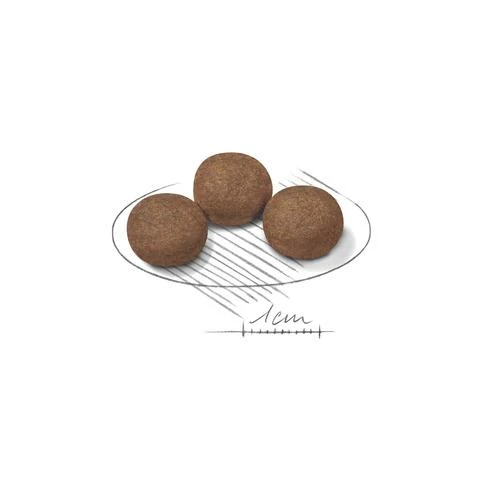 Royal Canin Medium Junior 15kg