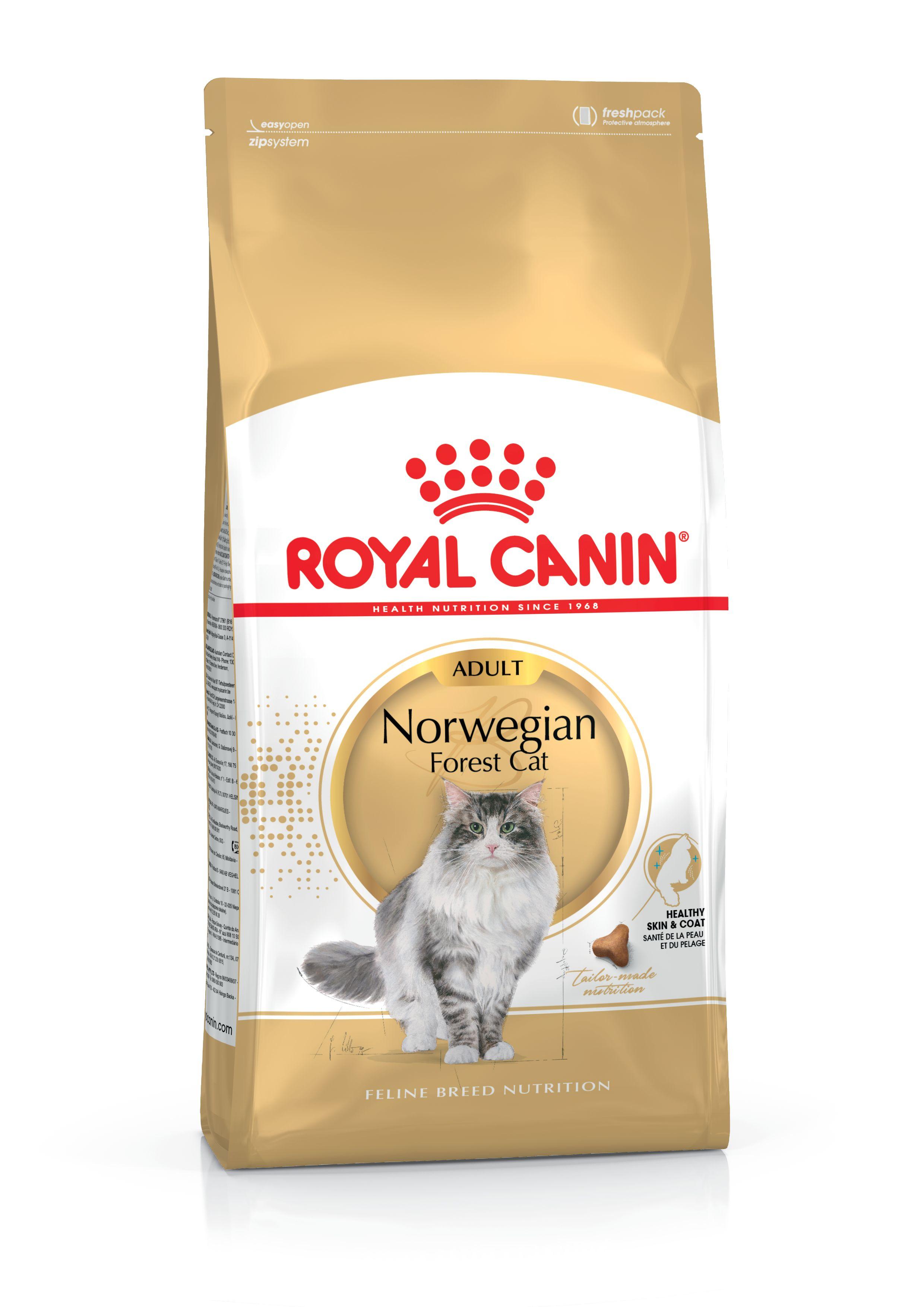 Royal Canin Norvegijos miško katė 2kg