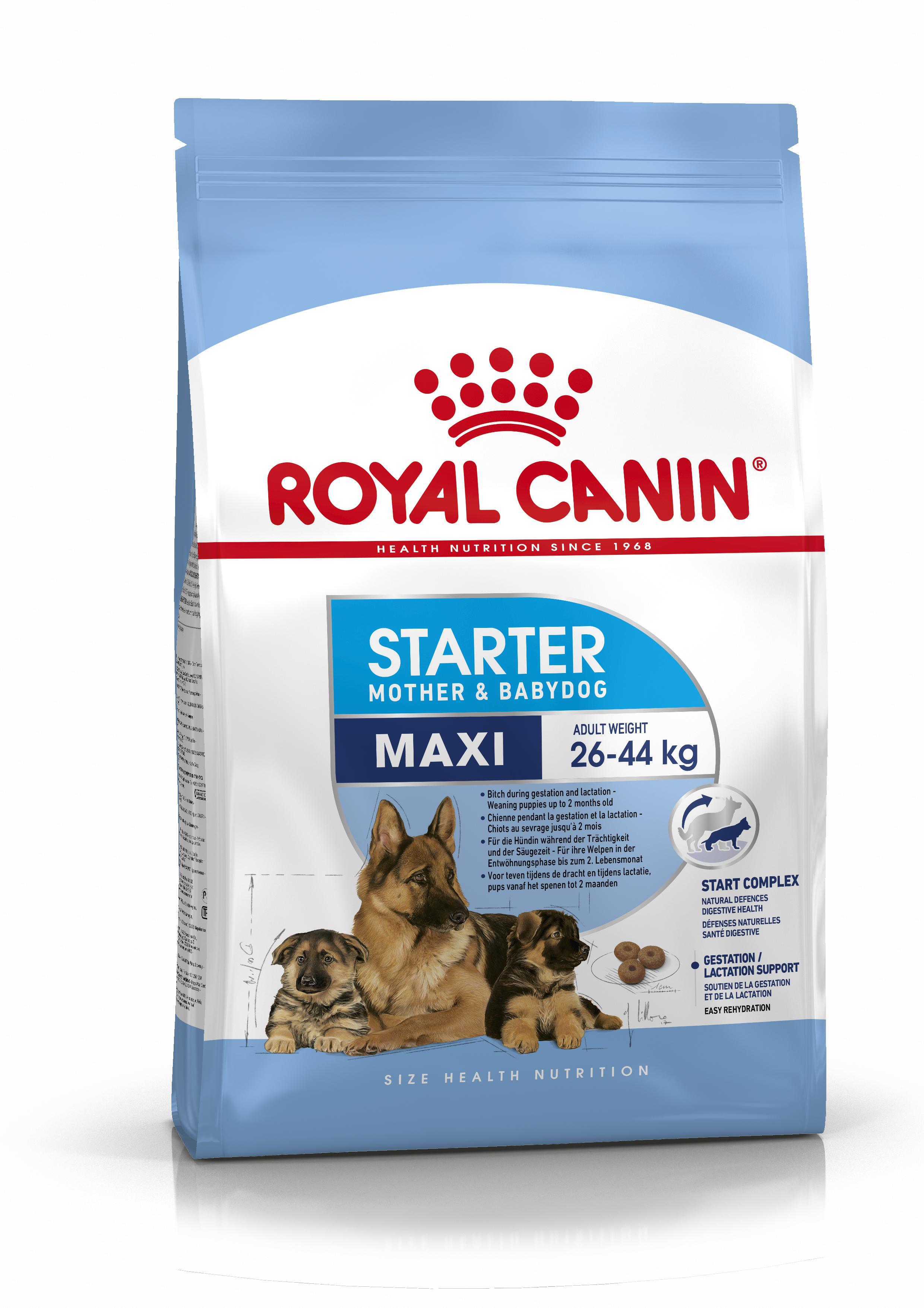 Royal Canin Maxi Starter 15kg