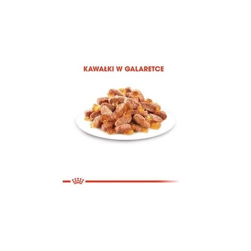 Royal Canin Kitten Jelly 12x85g