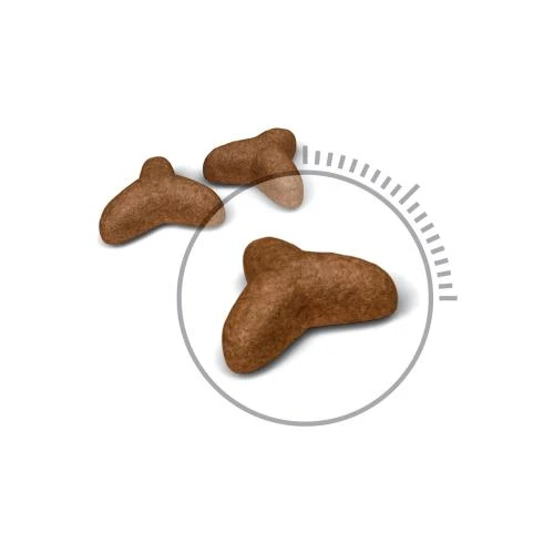 Royal Canin Light Weight Care 400g