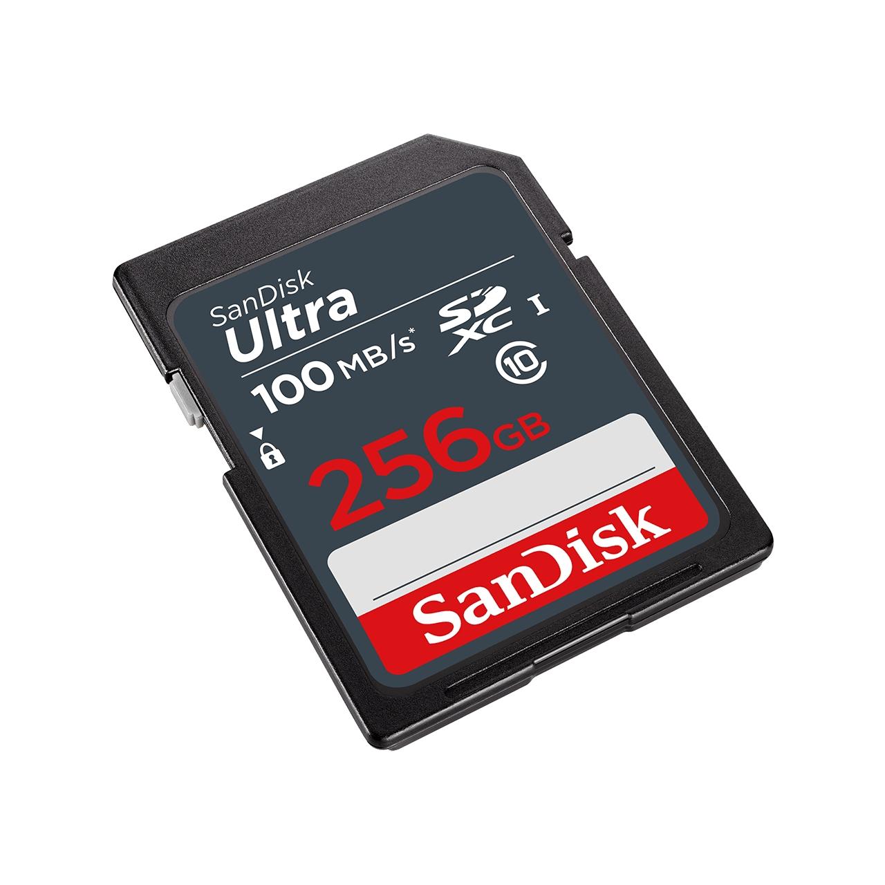 Atminties kortelė SanDisk Ultra Lite SDXC 256GB 100MB/s SDSDUNR-256G-GN3IN