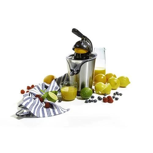 Sulčiaspaudė Camry | Profesional Citruis Juicer | CR 4006 | Type Electrical | Nerūdijantis plienas | 500 W | Greičių skaičius 1
