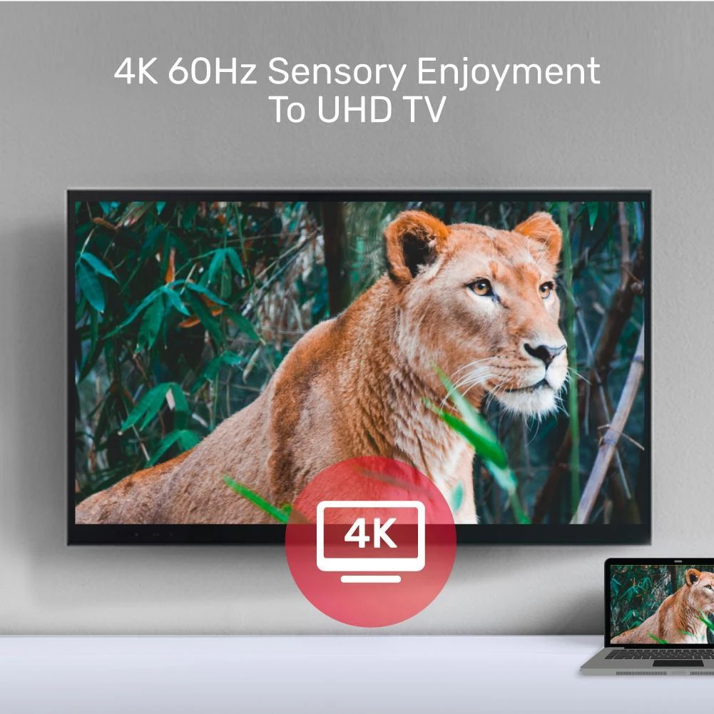 UNITEK adapteris USB-C į 4K 60Hz Hdmi Full HD VGA V1126A