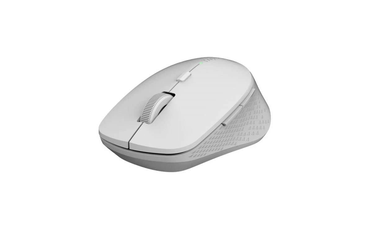 Rapoo Belaidė pelė 2,4 GHz + BT M300 pilka