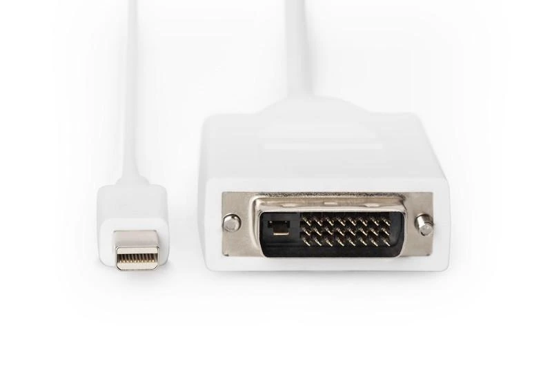 Assmann Electronic ASSMANN DisplayPort adapterio kabelis mini DP - DVI(24+1) M/M 2.0m DP 1.1a suderinamas su CE wh