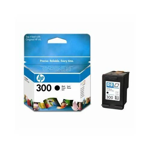 Hewlett Packard (HP) HP 300 (CC640EE) Rašalinė kasetė, Juoda