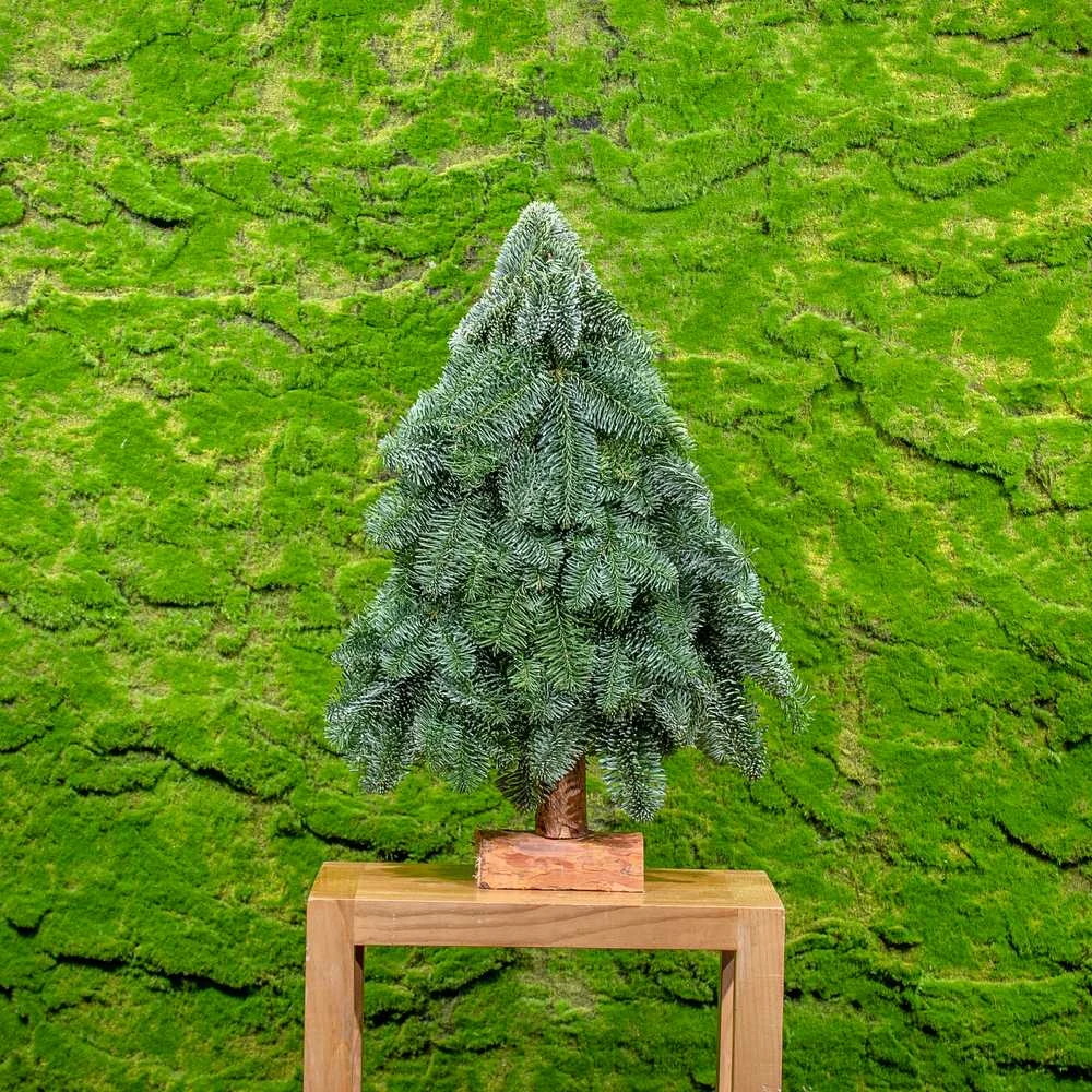 Evazonai Natūralaus kenio plokščia eglutė, 60cm